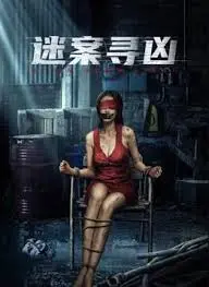 《迷案寻凶》：层层剥茧，揭开继母与养子之间暗藏的惊悚真相